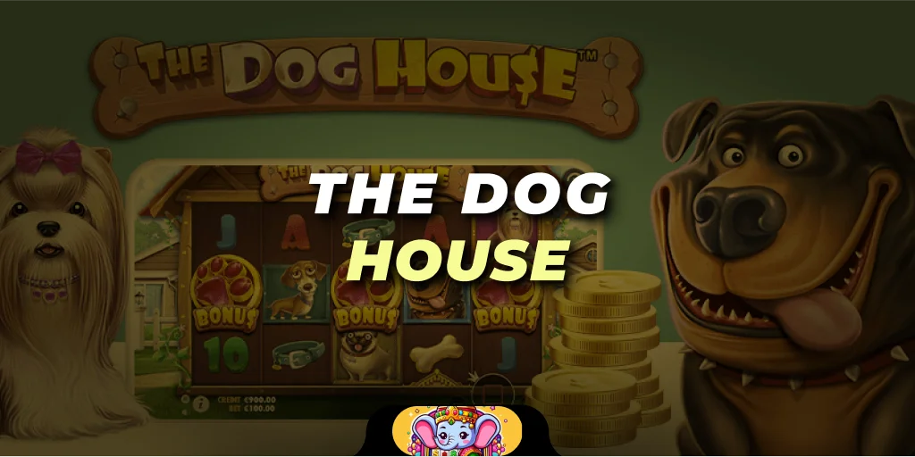 the dog house